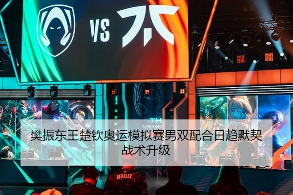 樊振东王楚钦奥运模拟赛男双配合日趋默契 战术升级