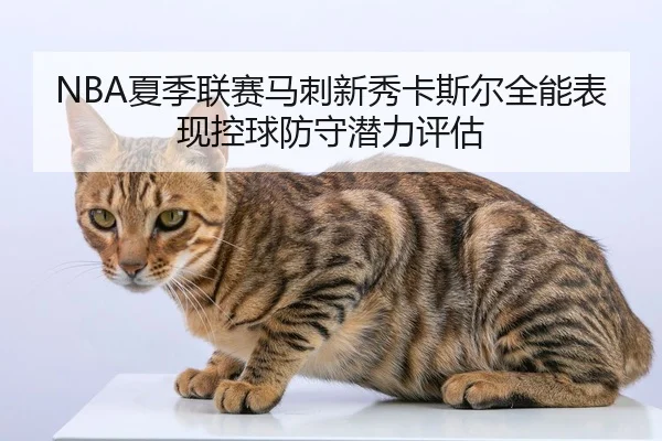 xia-ji-lian-sai-ma-ci-xin-xiu-ka-si-er-quan-neng-biao-xian-kong-qiu-fang-shou-qian-li-ping-gu-3-902.jpg