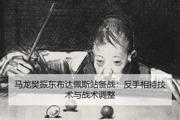 马龙樊振东布达佩斯站备战：反手相持技术与战术调整